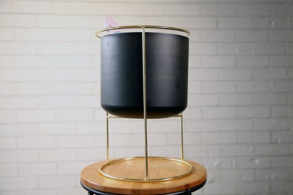 BLACK AND GOLD WINE BUCKET 04_resized A bottle of champagne is displayed in a chic black and gold bucket, representing the sophistication and spirit of your party celebration.