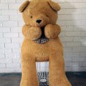 A giant teddy bear, ready to bring joy to your event from RSVP Event Hire.